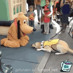 Neuen Freund gefunden Neuen Freund gefunden