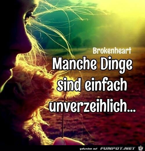 Manche Dinge