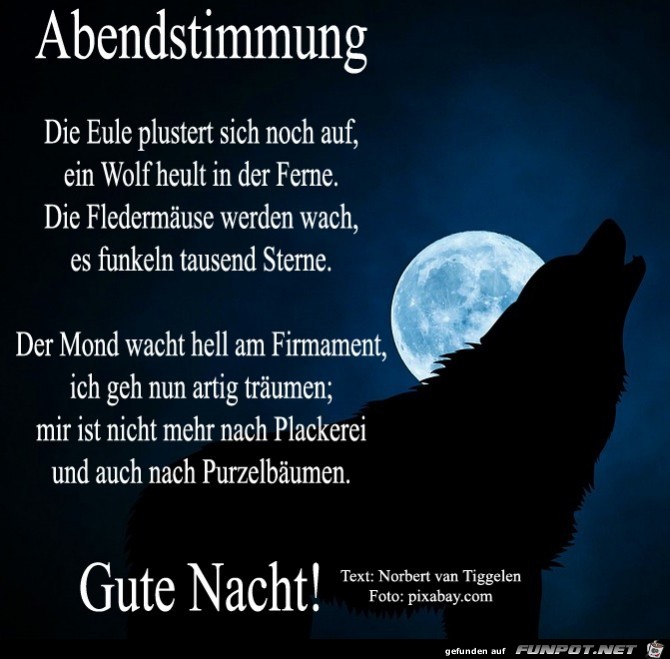 Abendstimmung 2018 Abendstimmung 2018