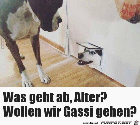 Was geht Was geht