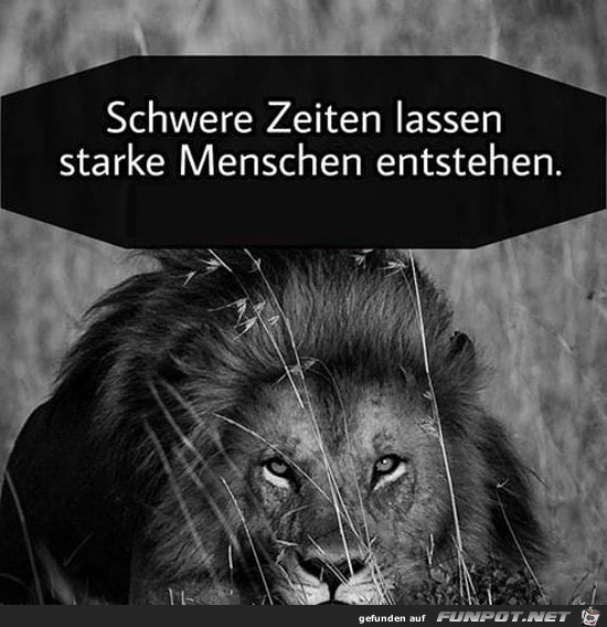 Starke Menschen Starke Menschen