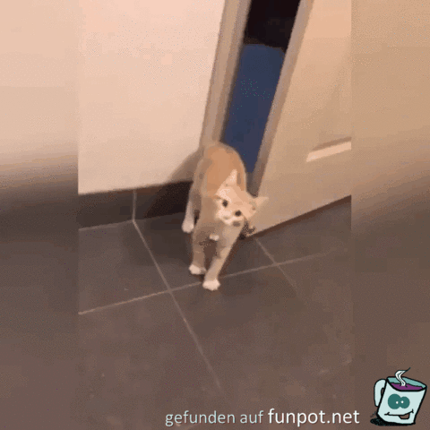 Sorry, komme später wieder Sorry, komme später wieder