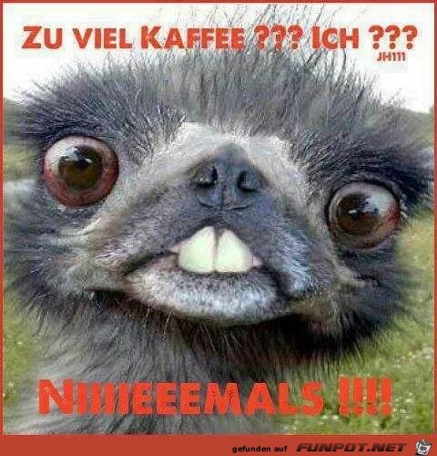 Zu viel Cafe Zu viel Cafe