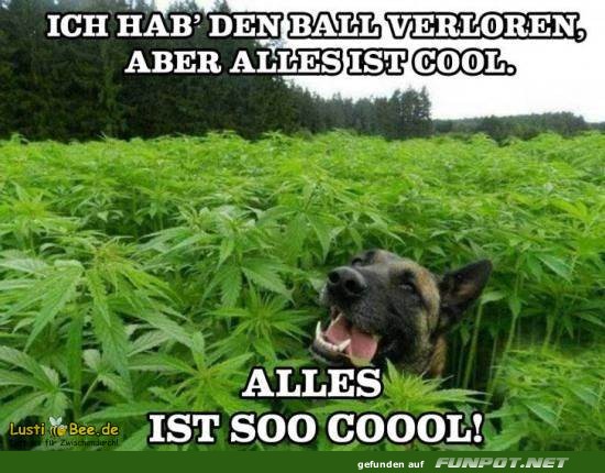 Hab den Ball verloren