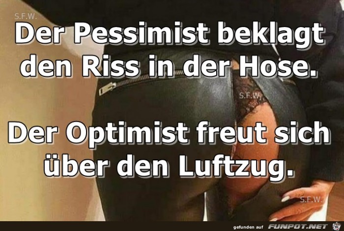 Der Pessimist