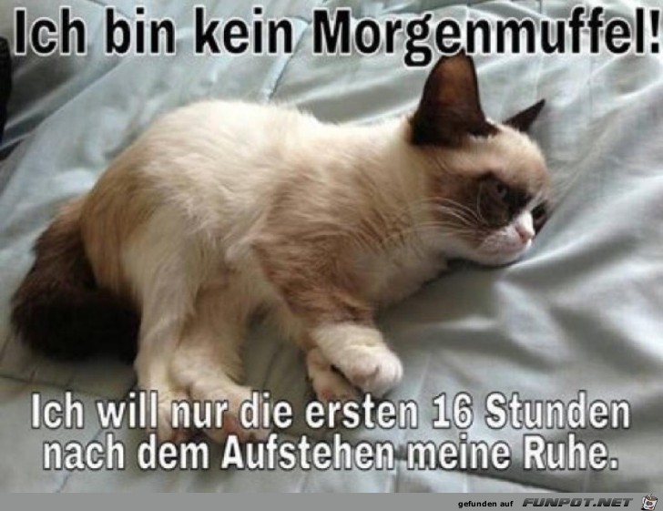 Ich bin kein Morgenmuffel