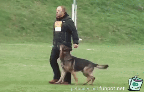 Hundeplatz Hundeplatz