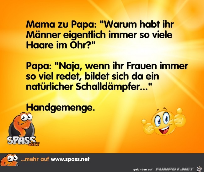 schalldaempfer...... schalldaempfer......