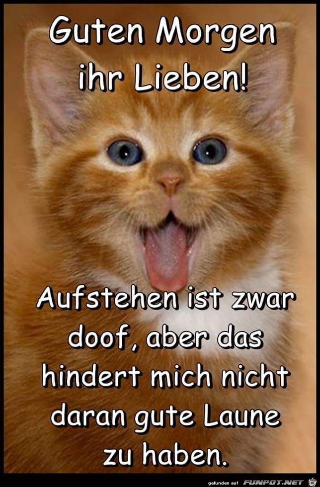 Guten Morgen ihr Lieben Guten Morgen ihr Lieben