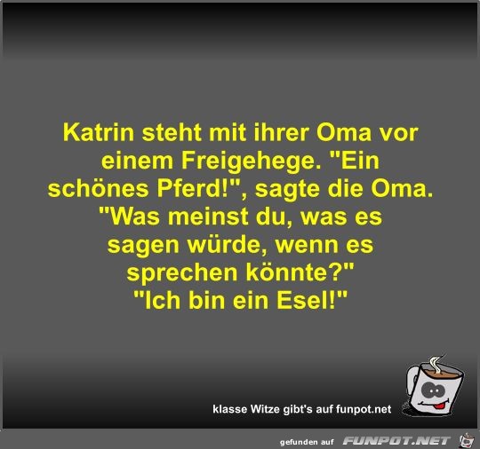 Katrin steht mit ihrer Oma vor einem Freigehege Katrin steht mit ihrer Oma vor einem Freigehege