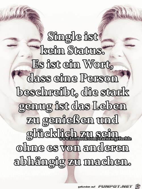 Single status sprüche Dream SMP