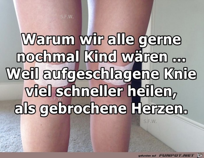 Warum wir alle gerne Warum wir alle gerne