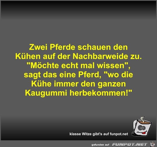 Zwei Pferde schauen den Kühen auf der Nachbarweide zu Zwei Pferde schauen den Kühen auf der Nachbarweide zu