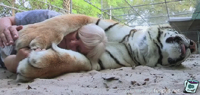 Ungewöhnliche Tierliebe Ungewöhnliche Tierliebe