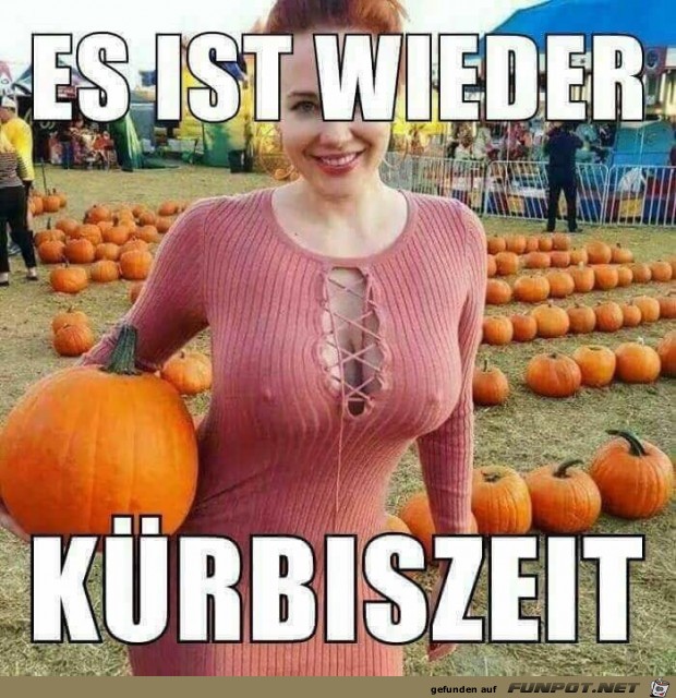 Kürbkiszeit Kürbkiszeit