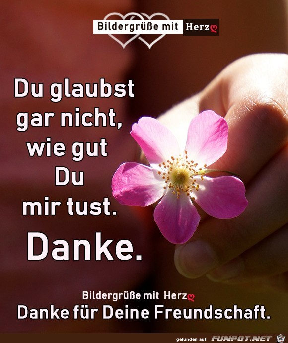 Du glaubst gar nicht