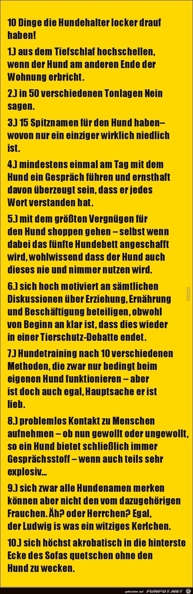 10 Dinge die Hundehalter drauf haben 10 Dinge die Hundehalter drauf haben