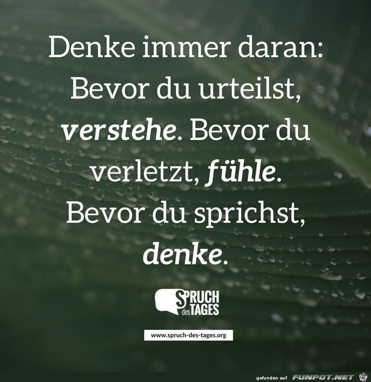 denke-immer-daran-bevor-du-urteilst-verstehe-bevor-du-verlet