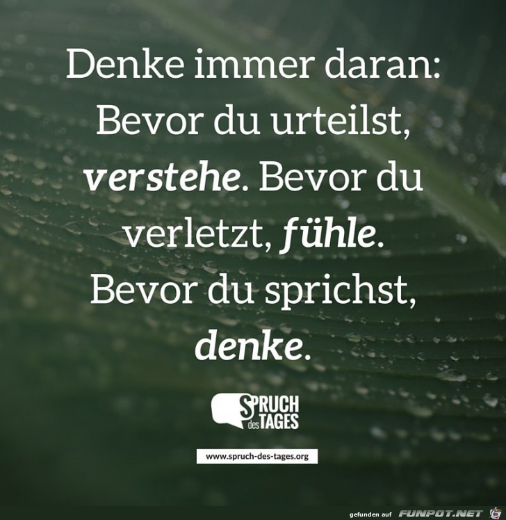 denke-immer-daran-bevor-du-urteilst-verstehe-bevor-du-verlet denke-immer-daran-bevor-du-urteilst-verstehe-bevor-du-verlet