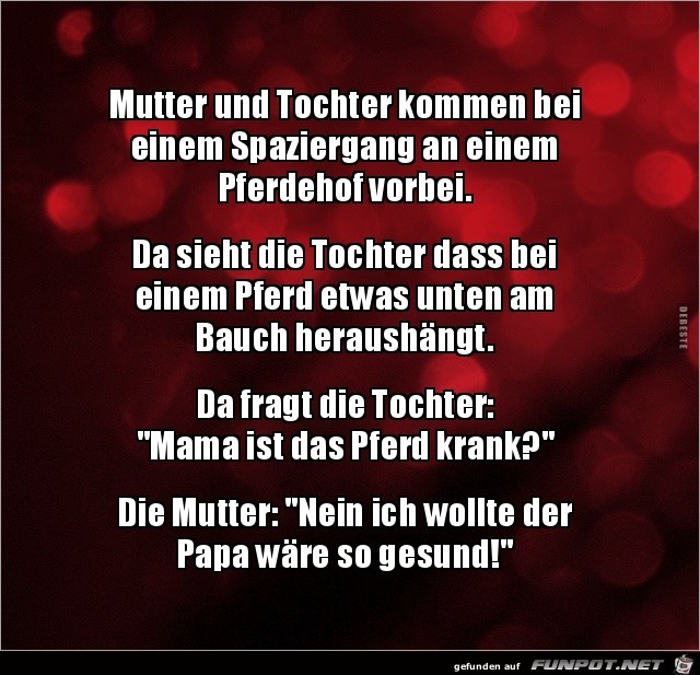 Spaziergang zum Pferdehof...... Spaziergang zum Pferdehof......