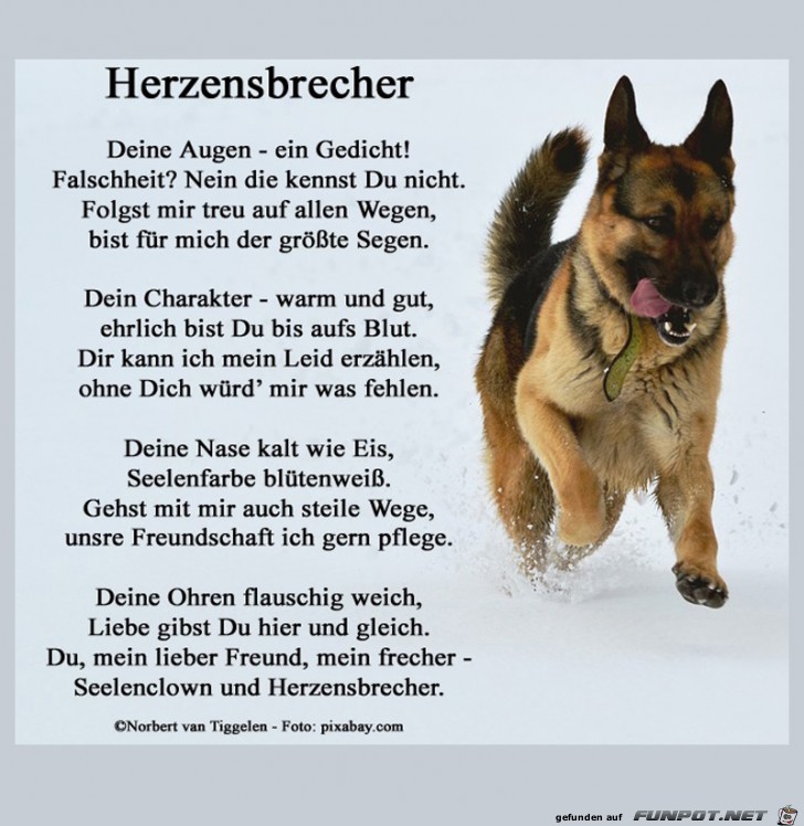 Herzensbrecher 2018 Herzensbrecher 2018