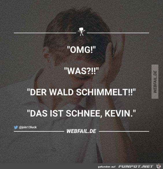 Der Wald schimmelt Der Wald schimmelt