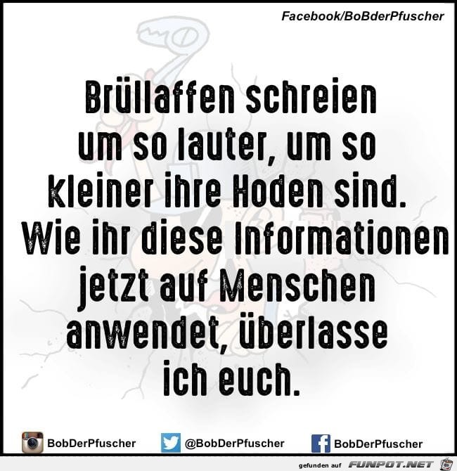Brüllaffen Brüllaffen