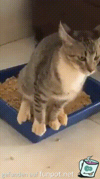 Gibt es noch eine leere Stelle Gibt es noch eine leere Stelle