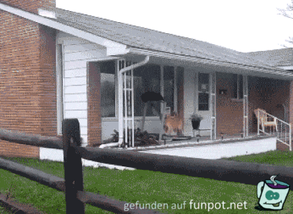 Hund geht gassi Hund geht gassi