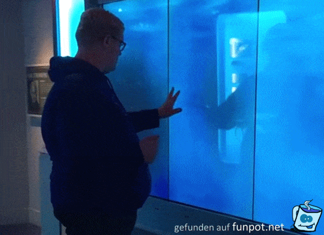 Touch Bildschirm Touch Bildschirm