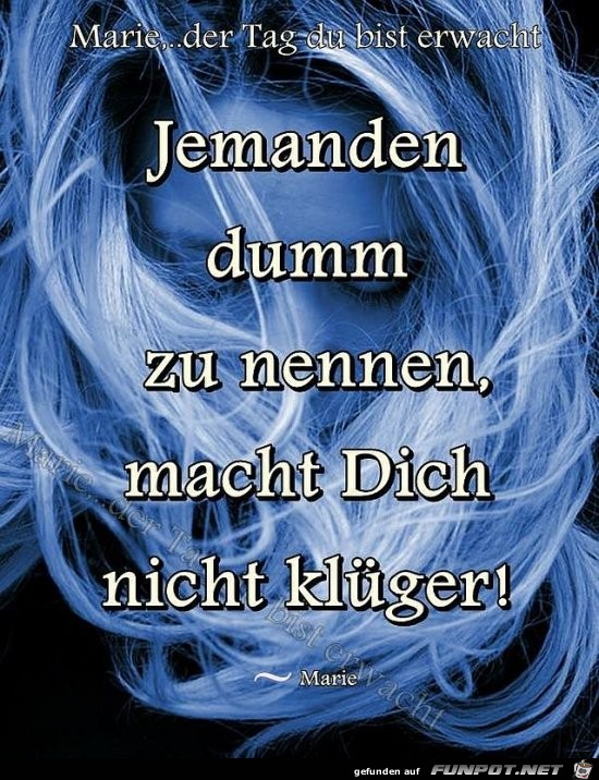 Dumm Dumm