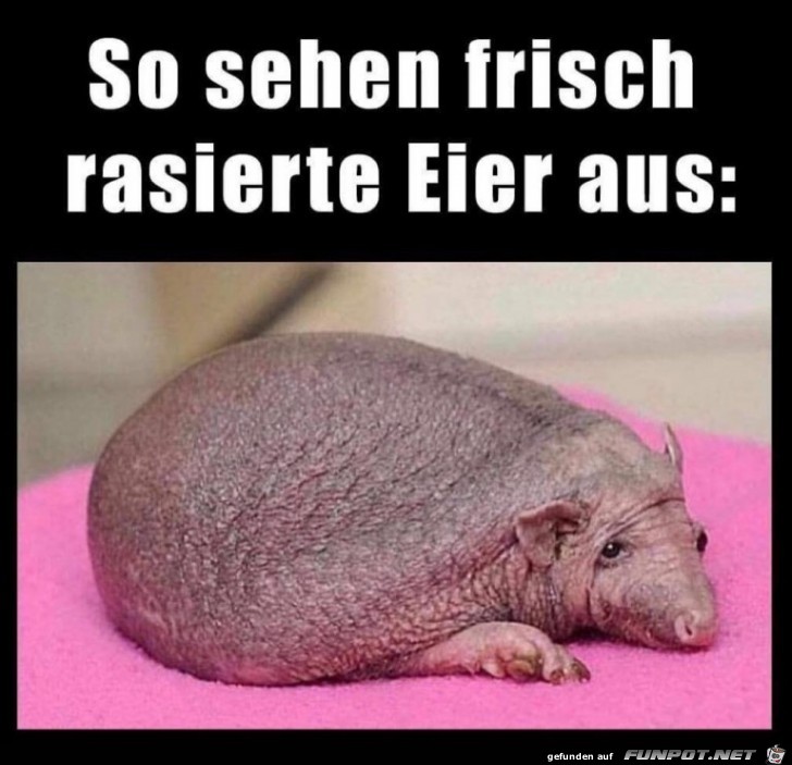 Frisch rasiert