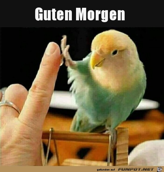 guten Morgen...... guten Morgen......