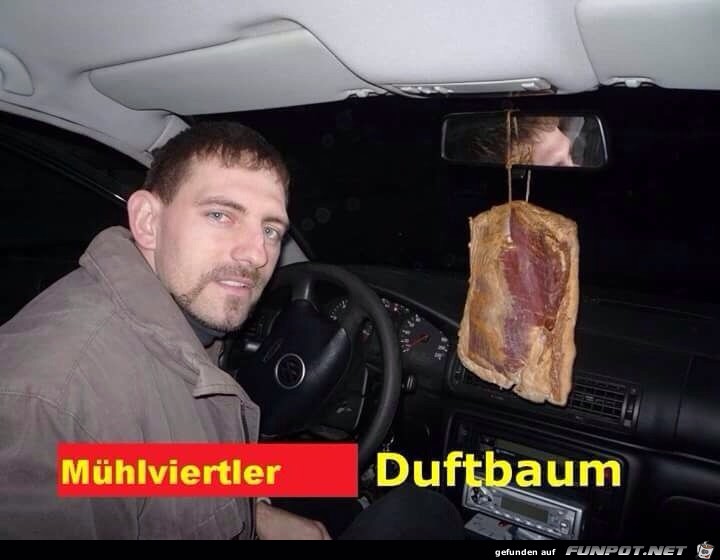 muehlviertler duftbaum