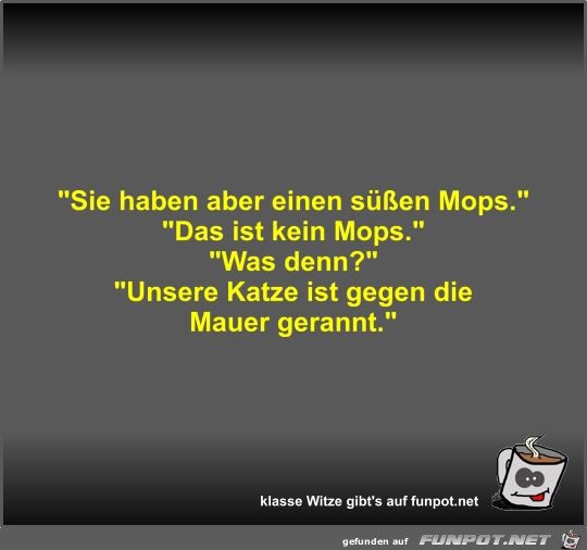 Sie haben aber einen sen Mops