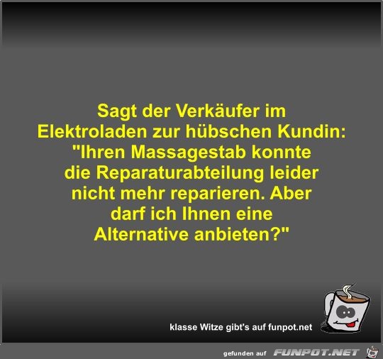 Sagt der Verkufer im Elektroladen zur hbschen Kundin