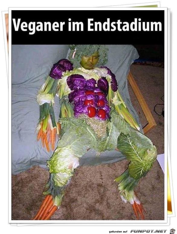 Veganer