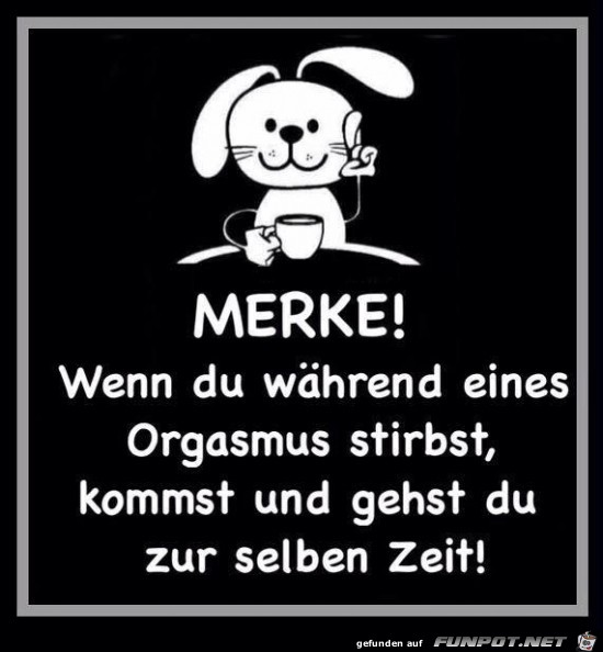 Merke!.... Merke!....
