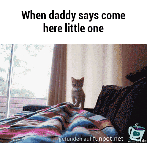 Wenn Papi sagt Wenn Papi sagt