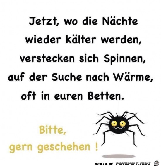 jetzt, wo die Nchte wieder klter werden......