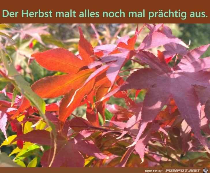 Der Herbst malt alles nochmal prächtig aus. Der Herbst malt alles nochmal prächtig aus.