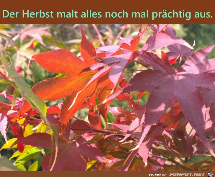 Der Herbst malt alles nochmal prchtig aus.