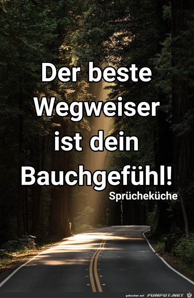 Der beste Wegweiser Der beste Wegweiser