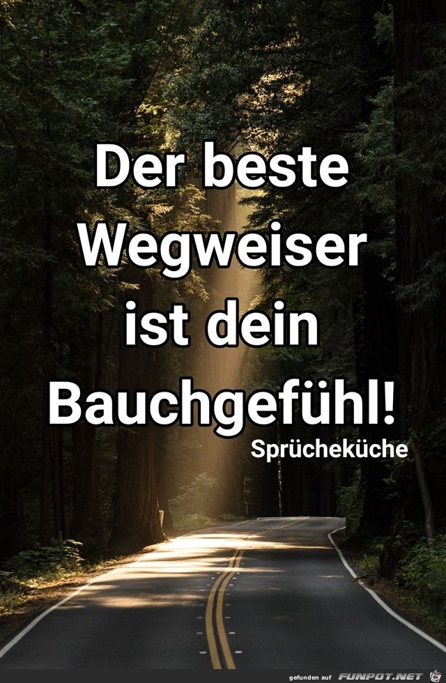 Der beste Wegweiser