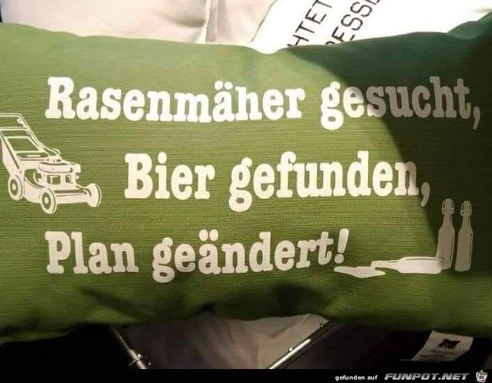 Rasenmher gesucht