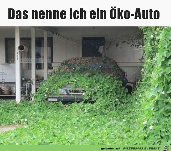 ko-Auto