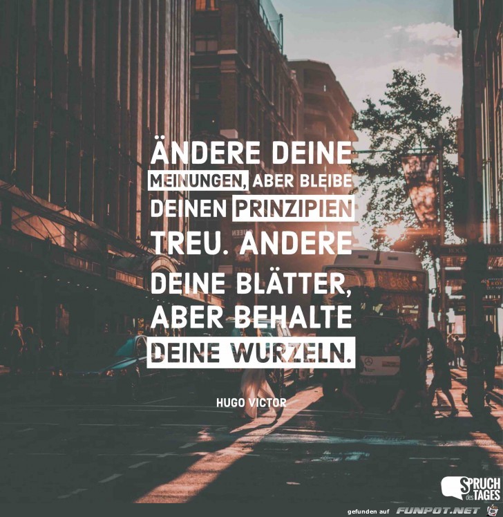 aendere-deine-meinungen-