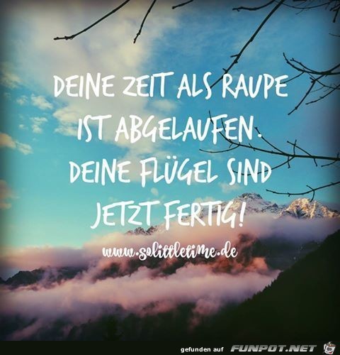 deine Zeit als Raupe