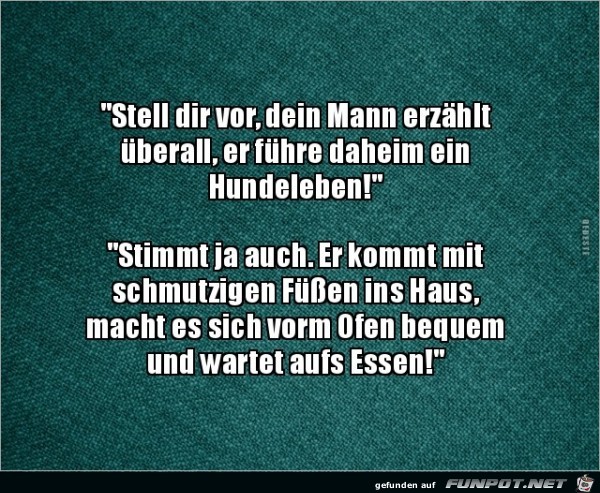 Hunde-Leben Hunde-Leben