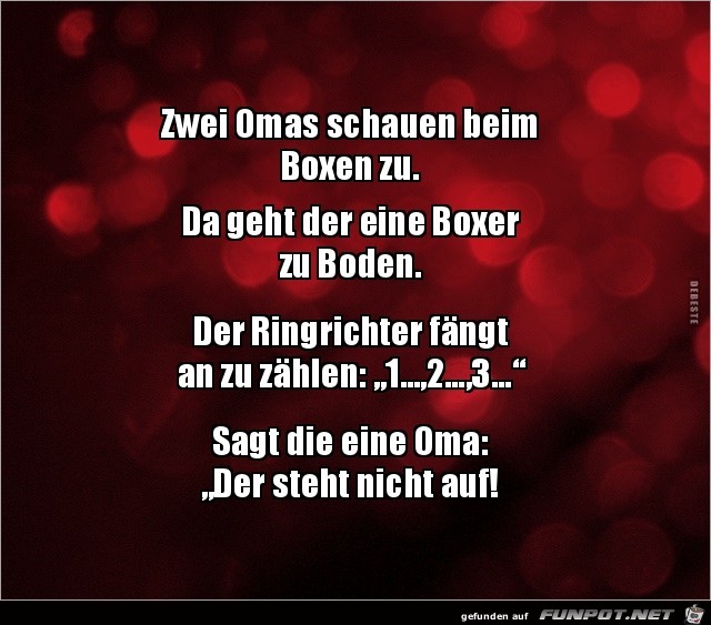 zwei Omas schauen beim Boxen zu...... zwei Omas schauen beim Boxen zu......